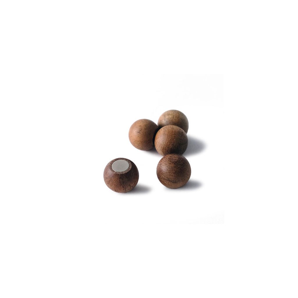 Set of five wooden ball magnets on white background