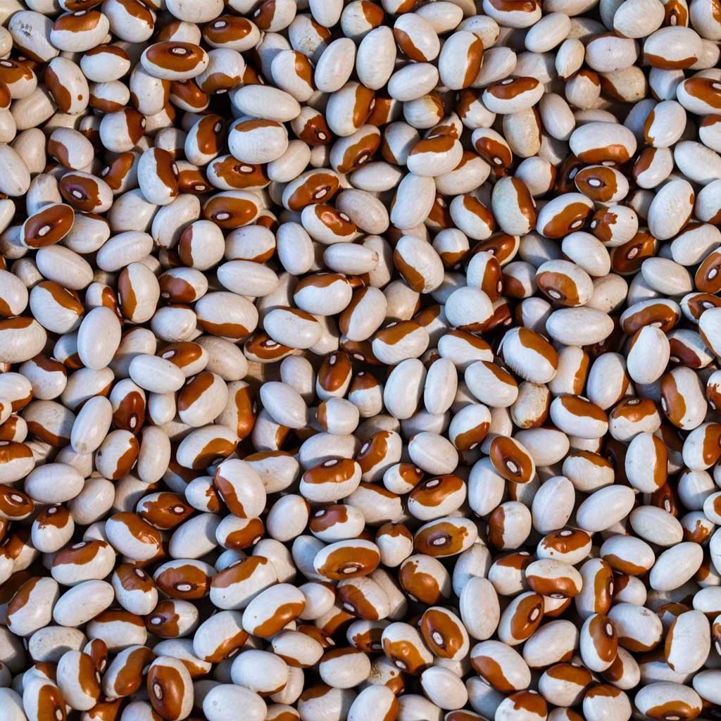 Close-up of a pile of yellow eye beans