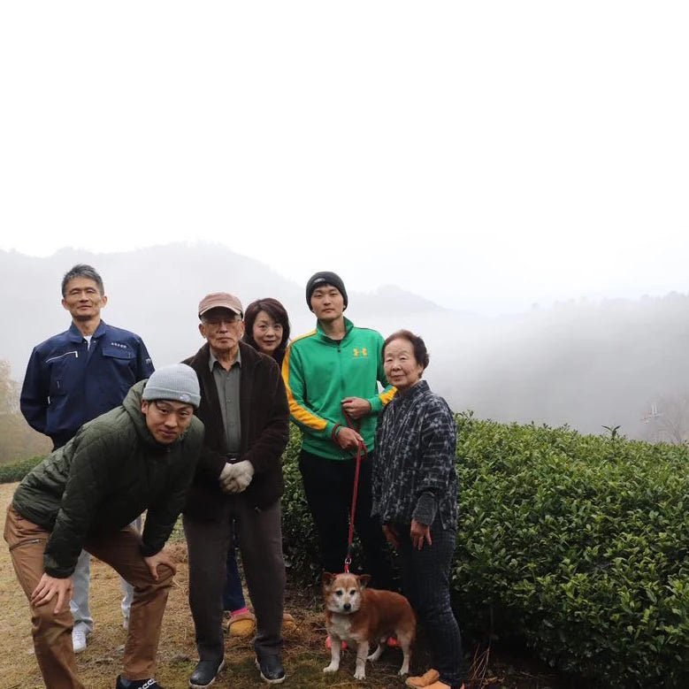 Group of people with a dog standing outdoors on tea farm on a foggy day