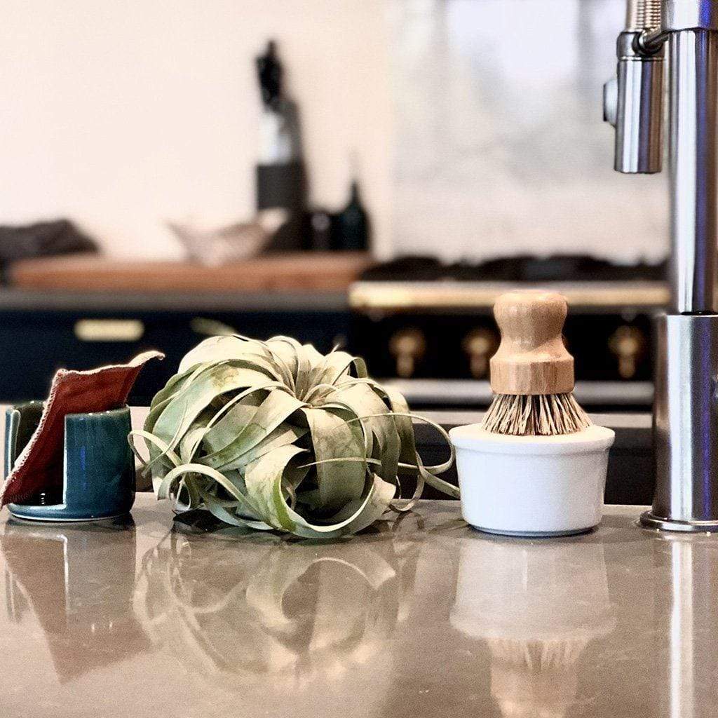 Dish Soap in White Ceramic Bowl Boston General Store