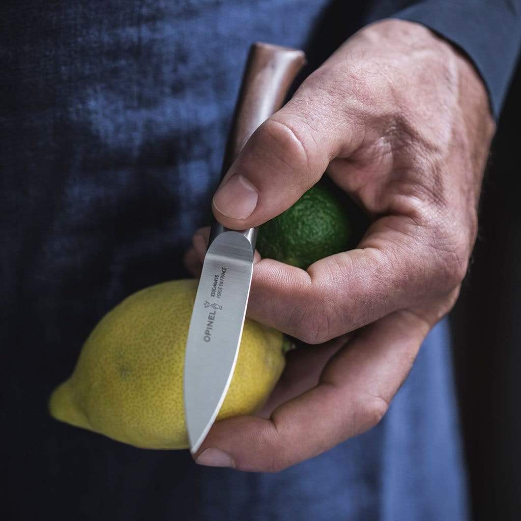 Forged 1890 3" Paring Knife Boston General Store