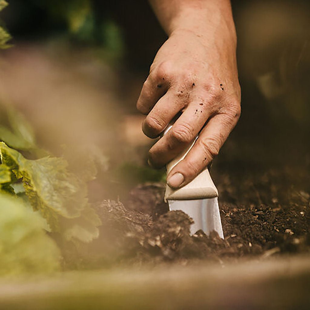 Hori Hori Japanese Trowel with Holster Boston General Store