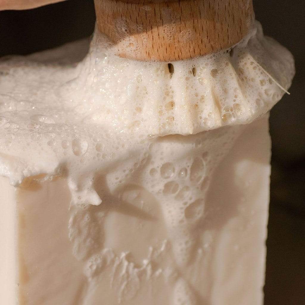 Vegan Dish Block Boston General Store