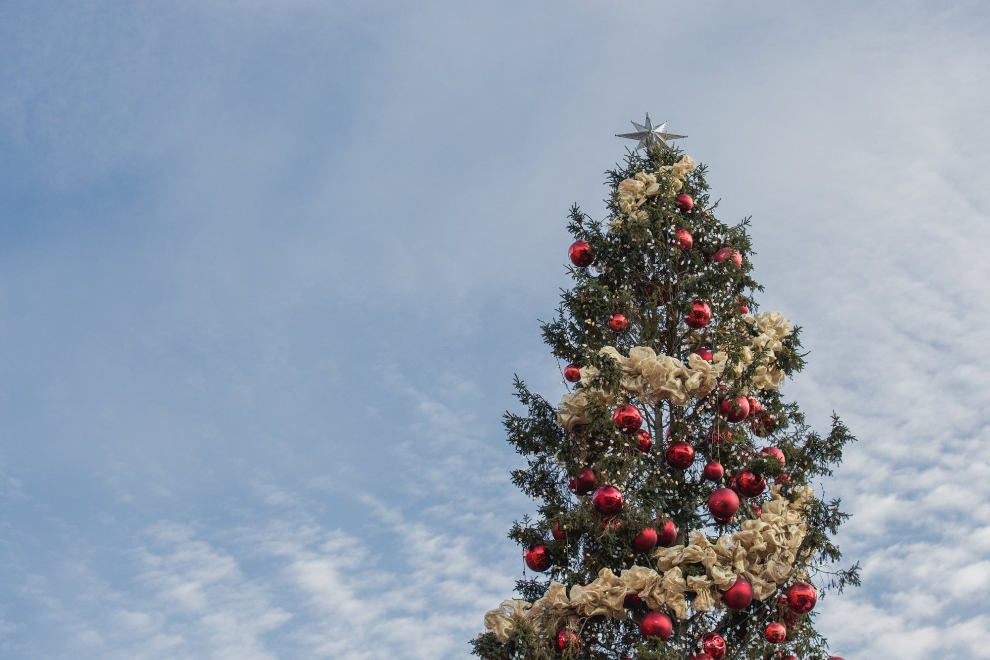 Happy Holidays - Boston General Store