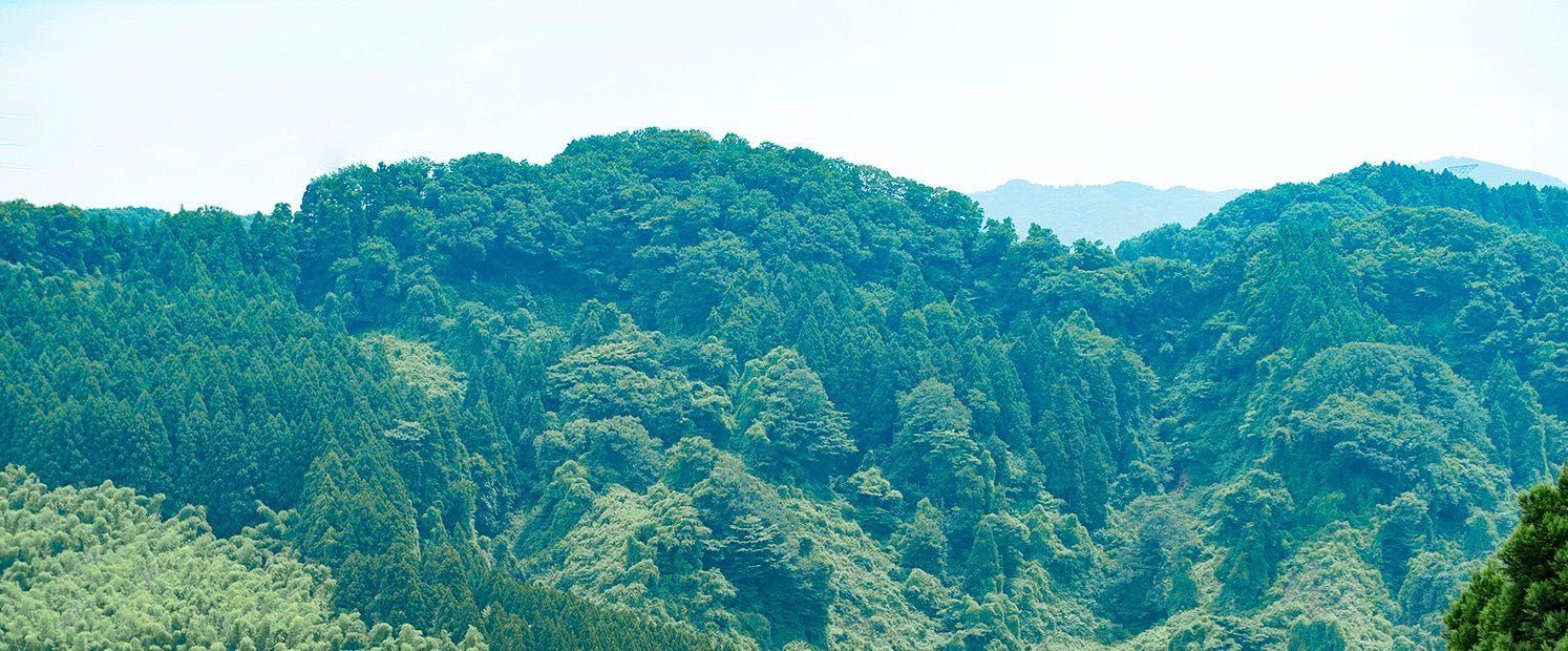 Meet the Maker: Takazawa Candle - Boston General Store