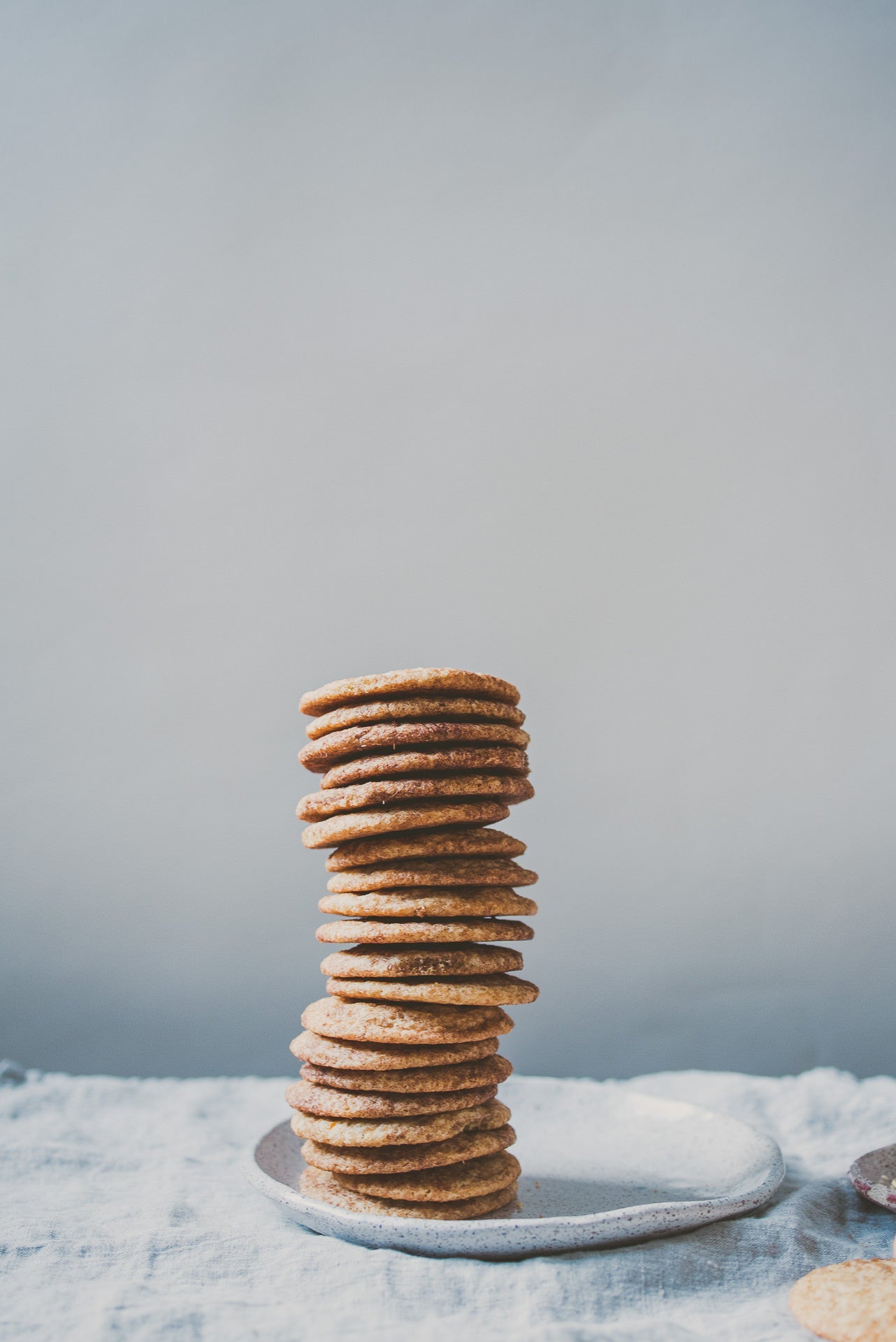 Tea Snickerdoodle Cookies - Boston General Store