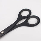 Black steel scissors with circular finger loops and a silver metal pivot screw, shown on a plain white background.