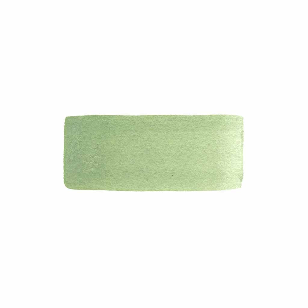 CfM Watercolor Paint - French Pale Green    at Boston General Store