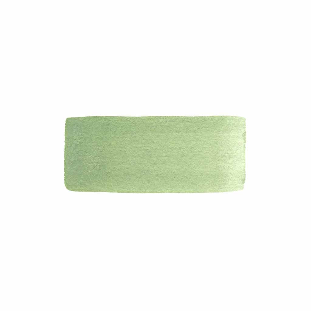 CfM Watercolor Paint - French Pale Green    at Boston General Store
