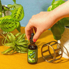 Organic Neem Oil    at Boston General Store