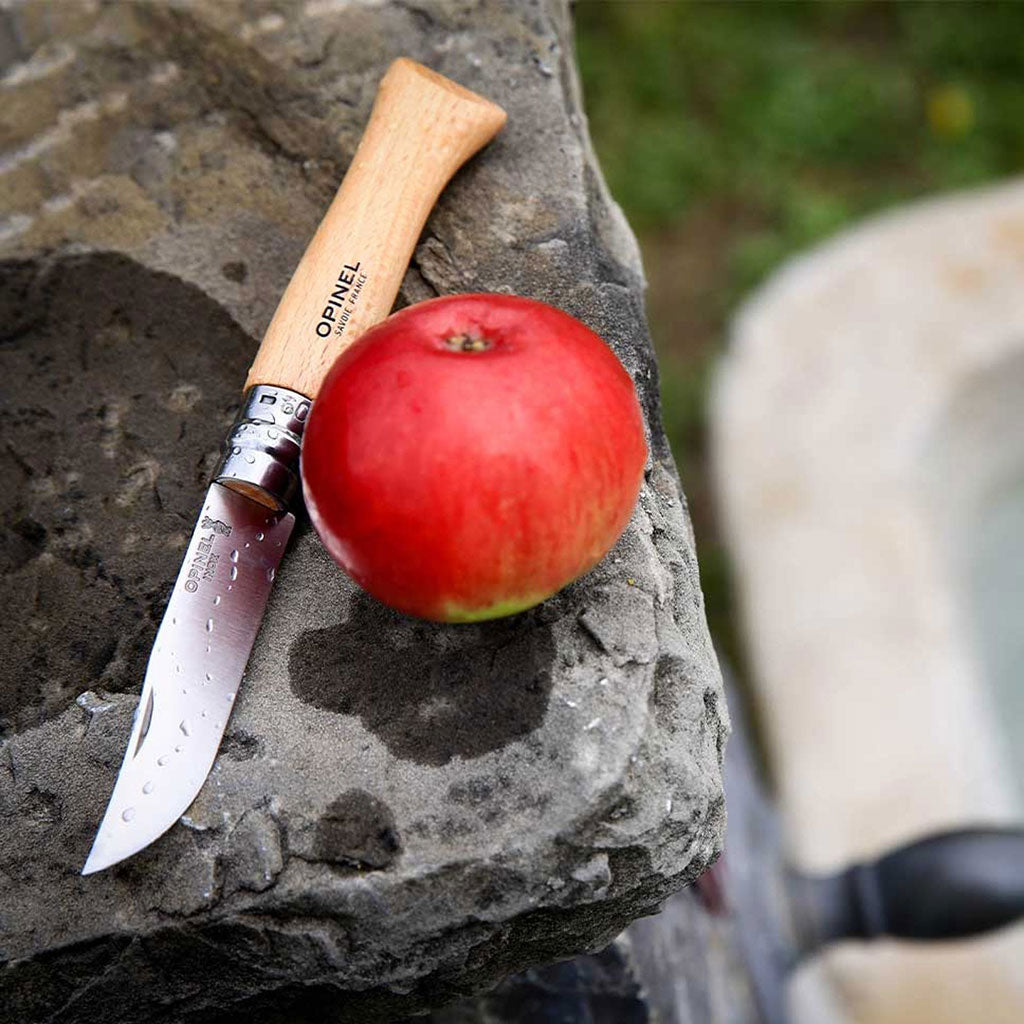 Opinel Stainless Steel Folding Knife Collector Set at Boston General Store