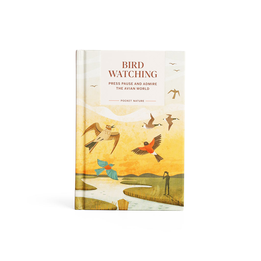 Pocket Nature: Birdwatching at Boston General Store