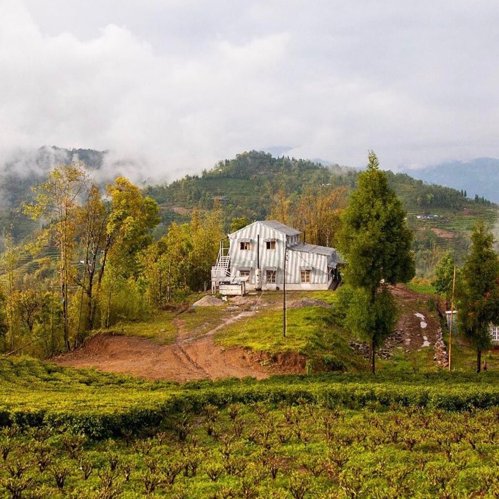 A Strong & Empowered Nepali Breakfast Boston General Store
