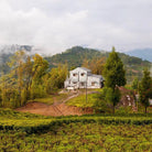 A Strong & Empowered Nepali Breakfast Boston General Store
