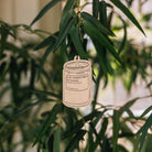 Air Freshener Boston General Store