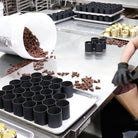 Alchemy Incense Cones Boston General Store