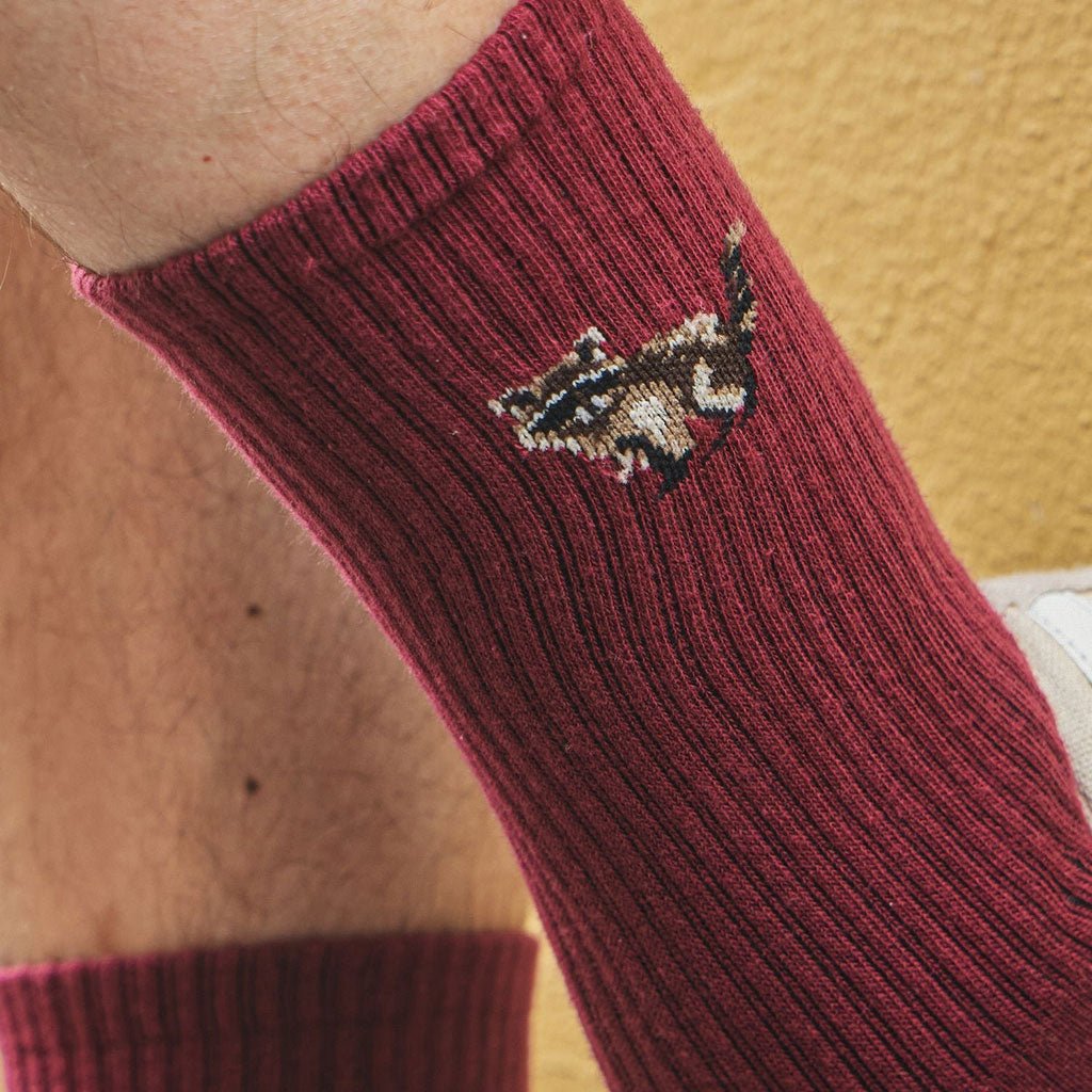 A close up of a raccoon detail on the leg of a maroon sock.