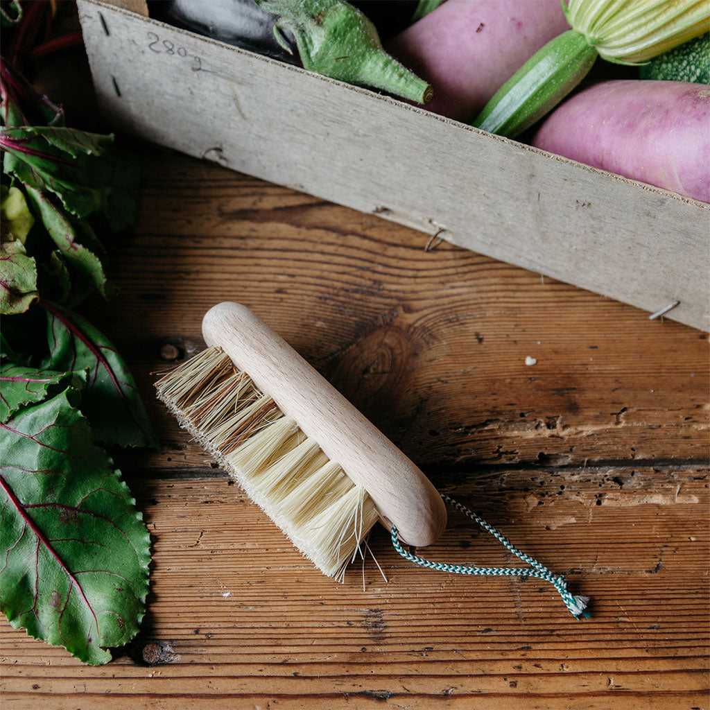 Vegetable Brush, Beechwood at Boston General Store