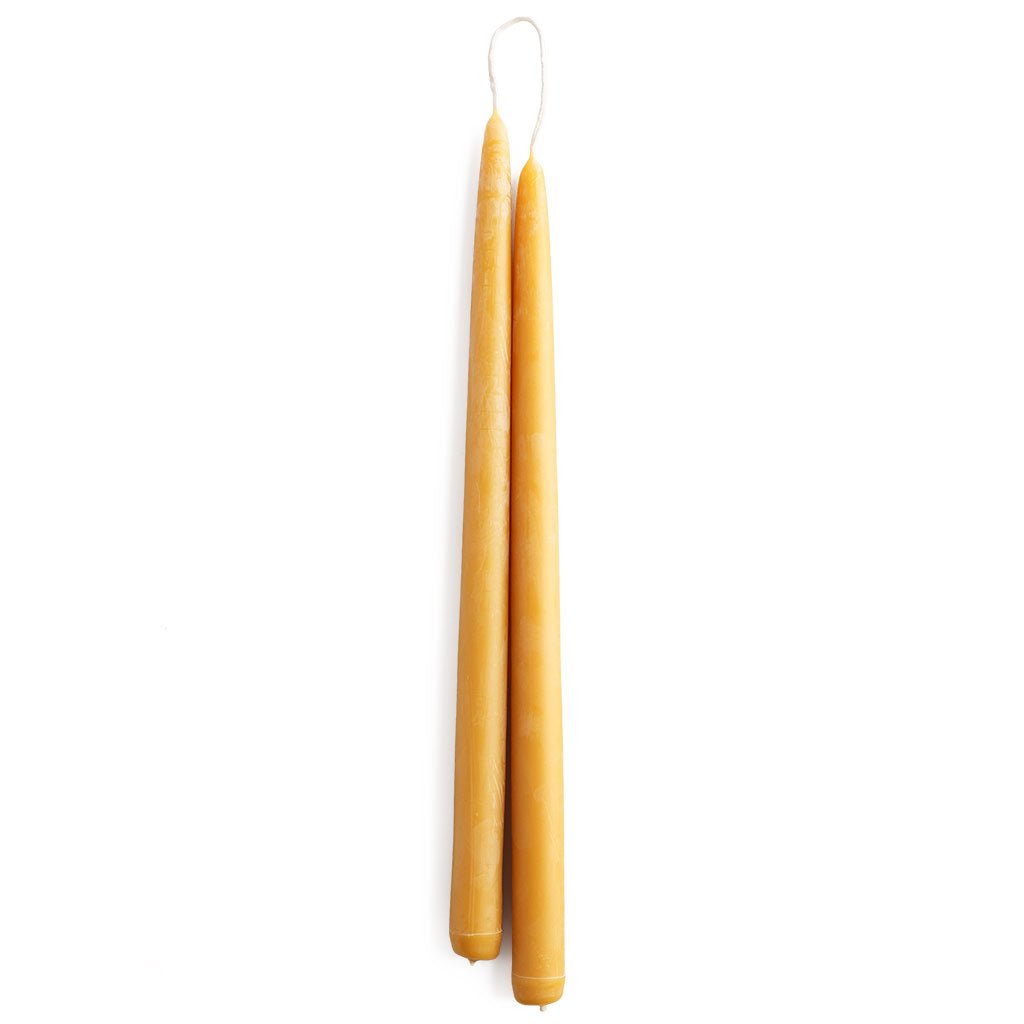 A set of two long standard yellow beeswax taper candles on white background
