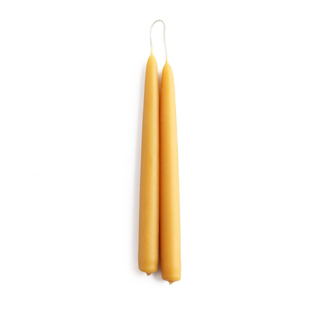 A set of two standard yellow beeswax taper candles on white background