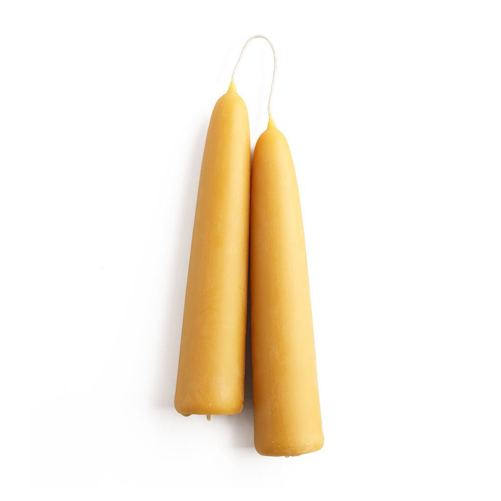 A set of two large beeswax candles on white background