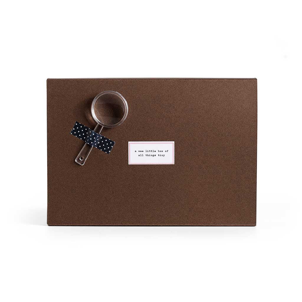 BGS All Things Tiny Stationery Kit Boston General Store