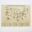 Map of State Birds of the United States with bird imagery across map