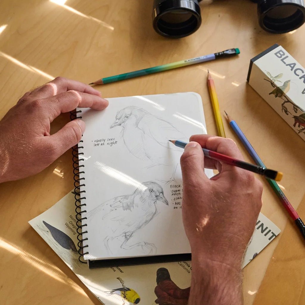 Hands using Blackwing 458 pencils sketching birds on sketchpad next to pencils