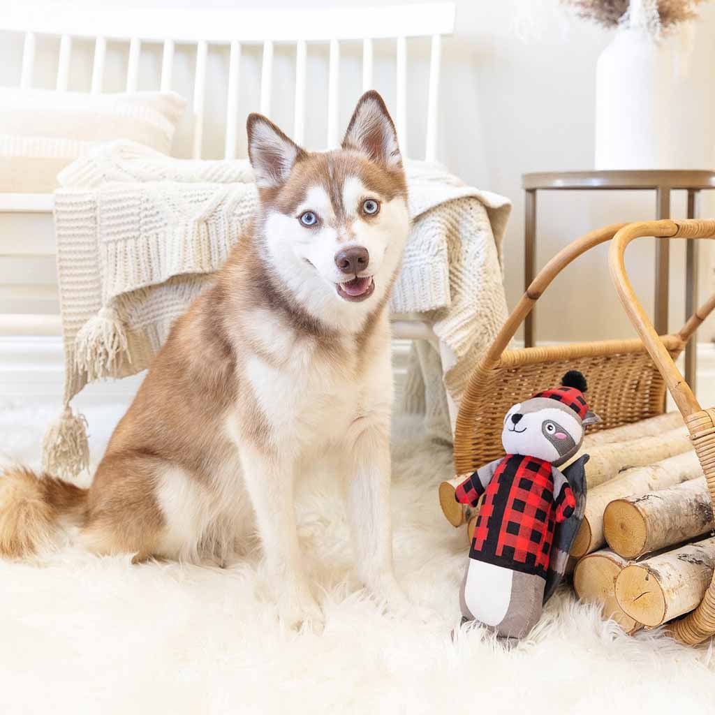 Brrring On the Snow Plush Dog Toy Boston General Store