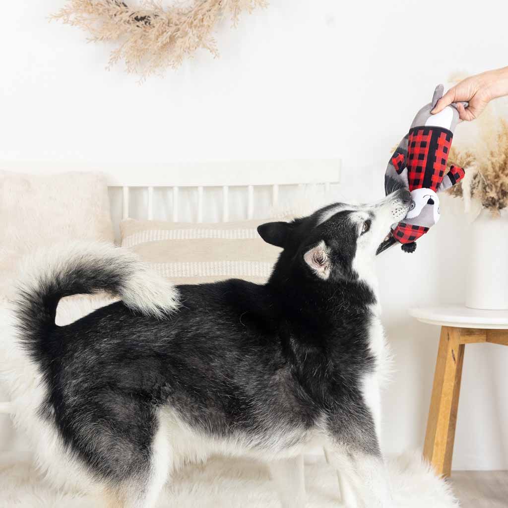 Brrring On the Snow Plush Dog Toy Boston General Store