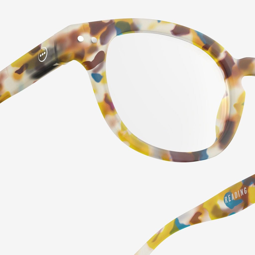 C Blue Tortoise Readers Boston General Store