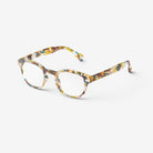 C Blue Tortoise Readers Boston General Store