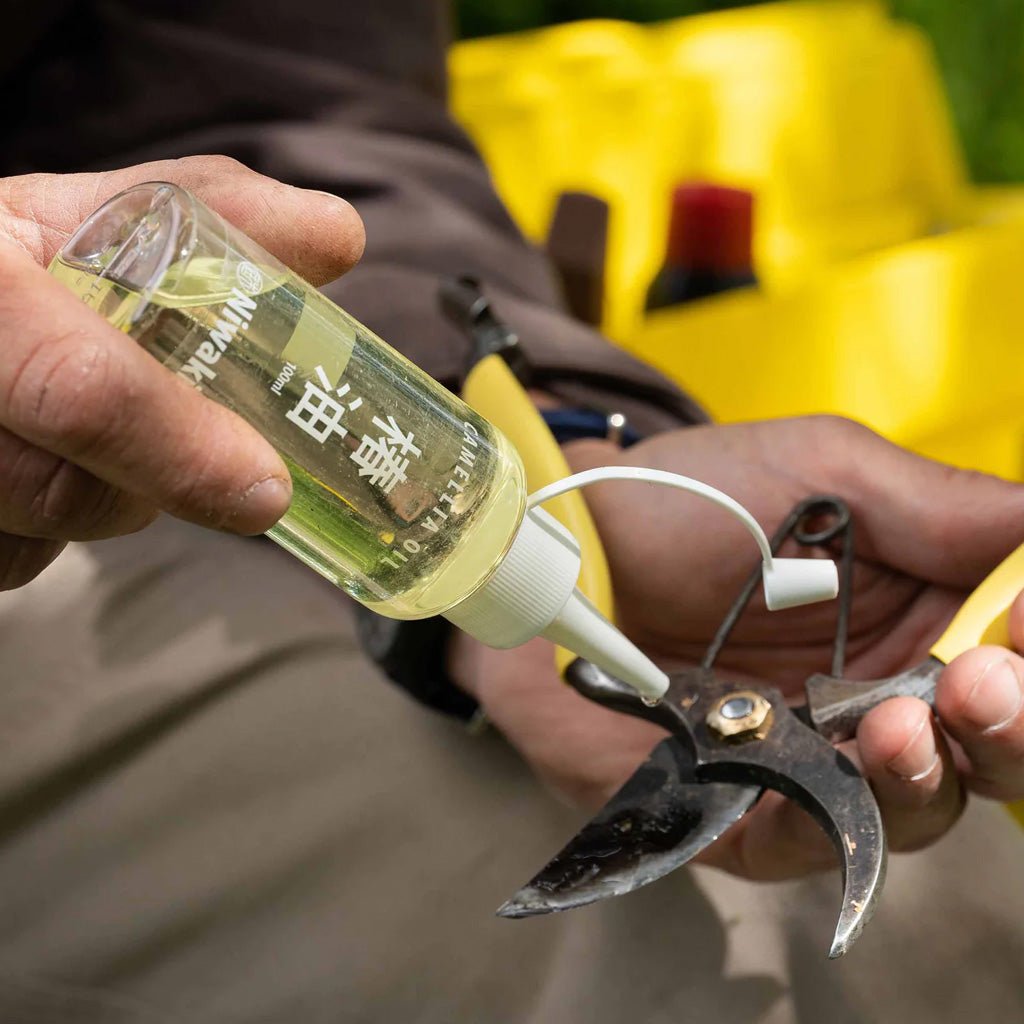 Person applying bottle of camellia oil to garden shears.