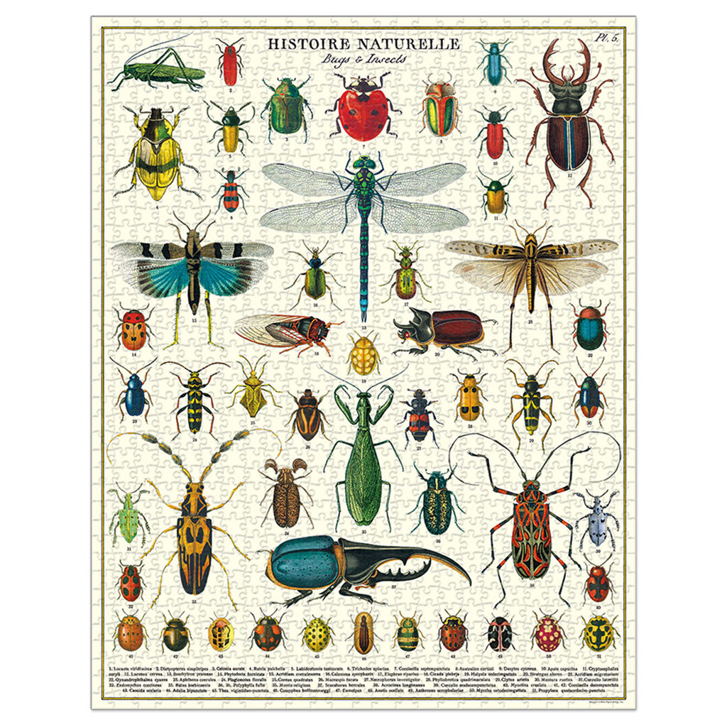 Bugs and Insects Vintage-Themed Puzzle    at Boston General Store