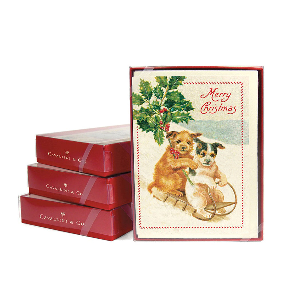 Christmas Dogs Card, Boxed Set    at Boston General Store