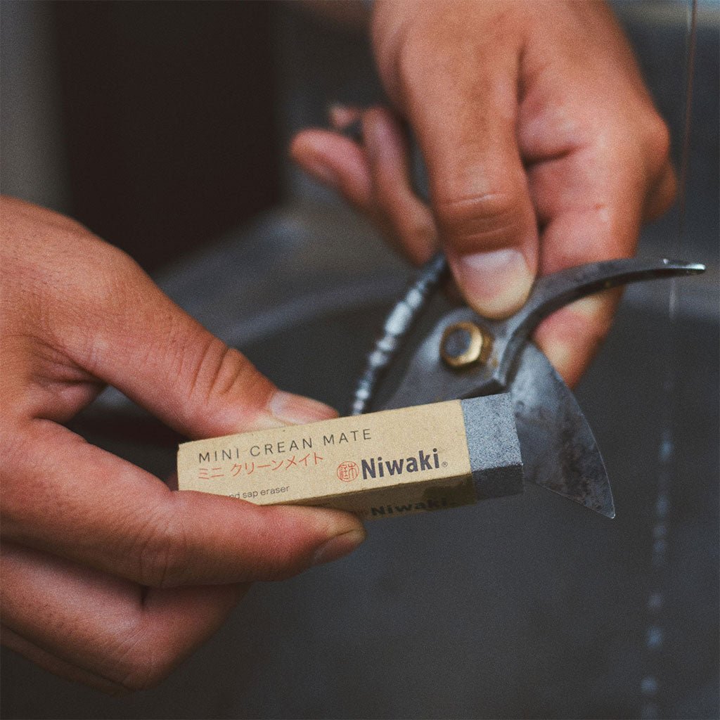 Clean Mate Rust - Erasing Tool Cleaner Boston General Store