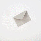 Little Clover Mini Card    at Boston General Store