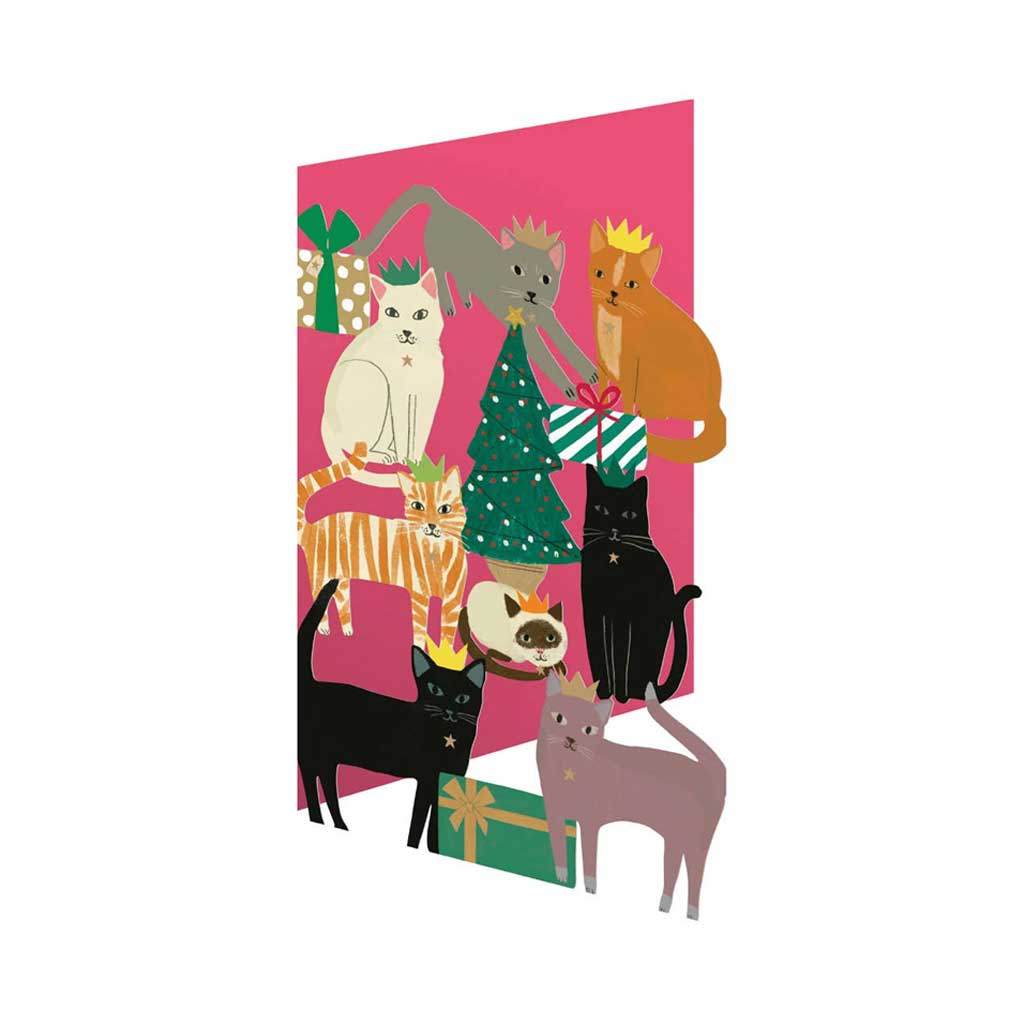 Cosy Cats at Christmas Card, Pack of 5 Boston General Store