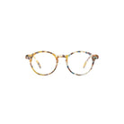 D Blue Tortoise Readers Boston General Store