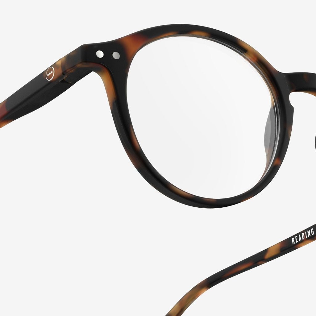 D Tortoise Readers Boston General Store