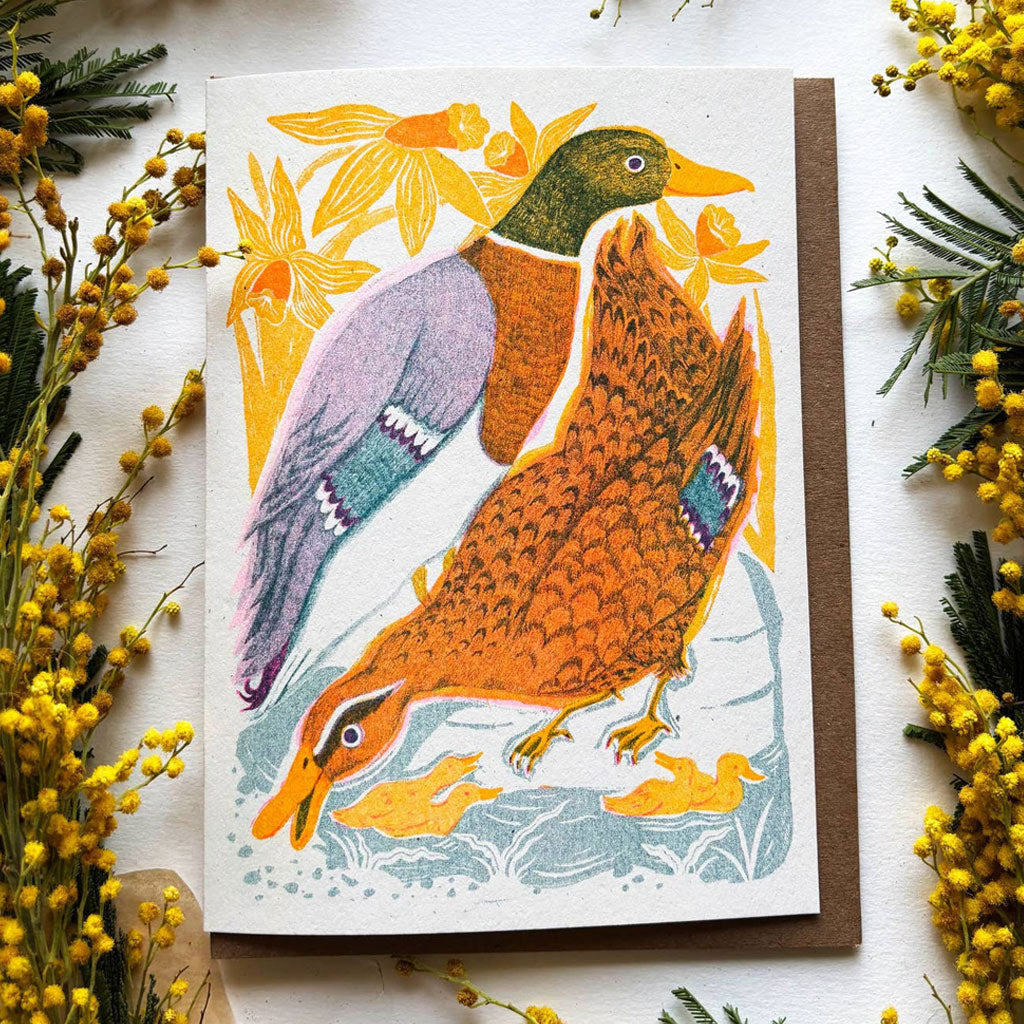 Daffodil Duck Family Card at Boston General Store