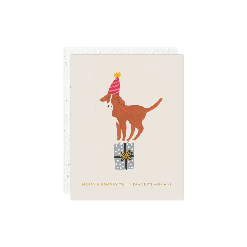 Dog Birthday Card Boston General Store