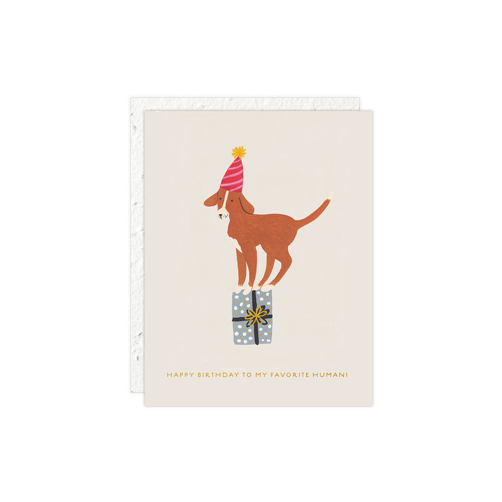 Dog Birthday Card    at Boston General Store