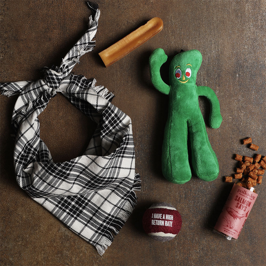 The Doggy Bag Anytime Treats at Boston General Store