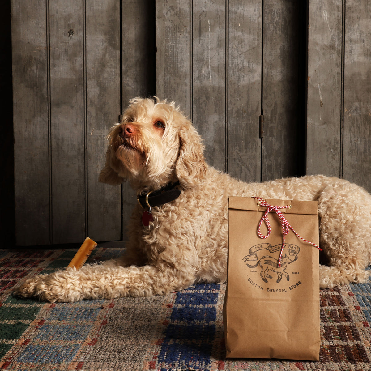 The Doggy Bag    at Boston General Store