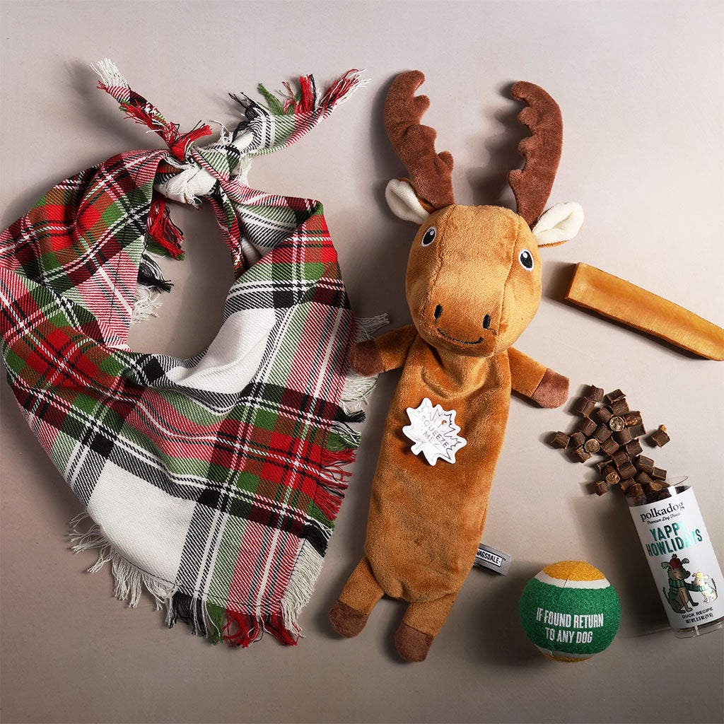 The Doggy Bag Holiday Fun at Boston General Store