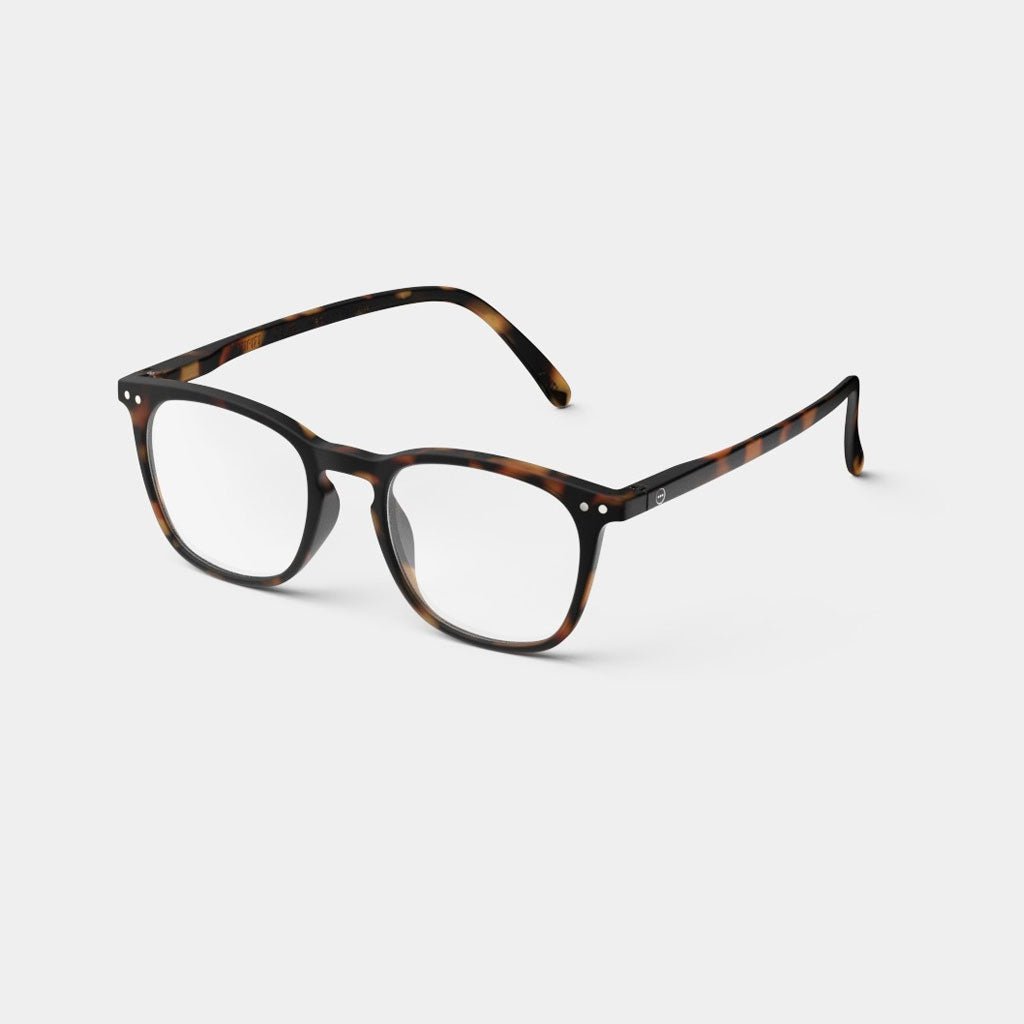 E Tortoise Readers Boston General Store