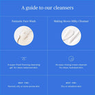 Fantastic Face Wash Boston General Store