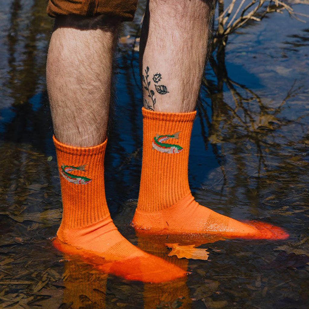 Fish Out of Water Sock    at Boston General Store