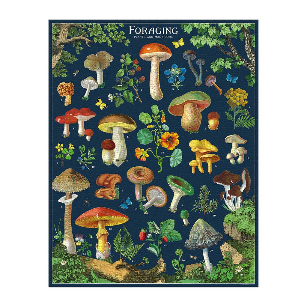 Cavallini & Co. Foraging Vintage Puzzle | Boston General Store